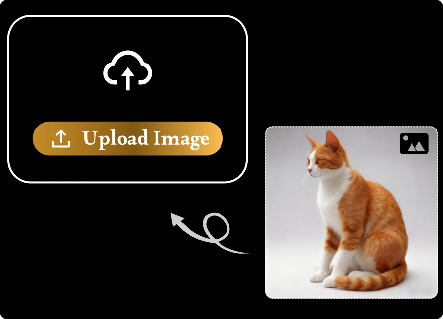 Upload Your Image